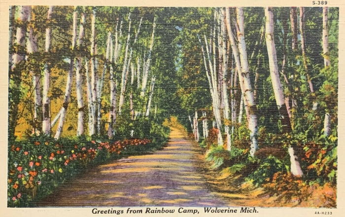Rainbow Camp (Toastys Cabins) - Old Postcard View (newer photo)